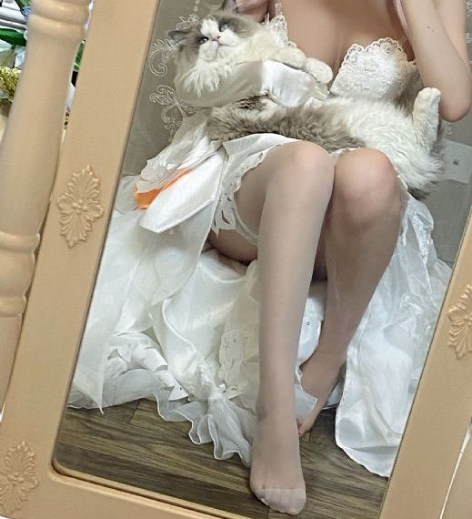 np浪荡好爽h互攻bl_电视剧完整版在线观看